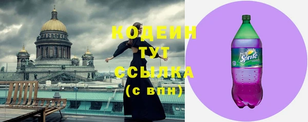первитин Гусев