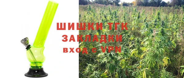 первитин Гусев