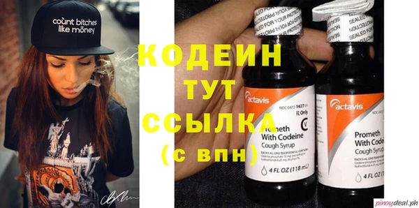 молекула духа Туринск